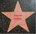 /album/fotos/ster-png/